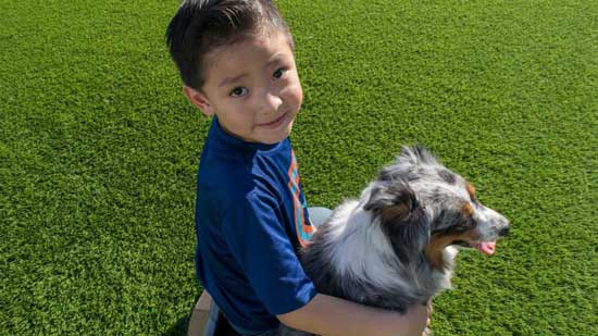 Boy and dog on Smart Turf