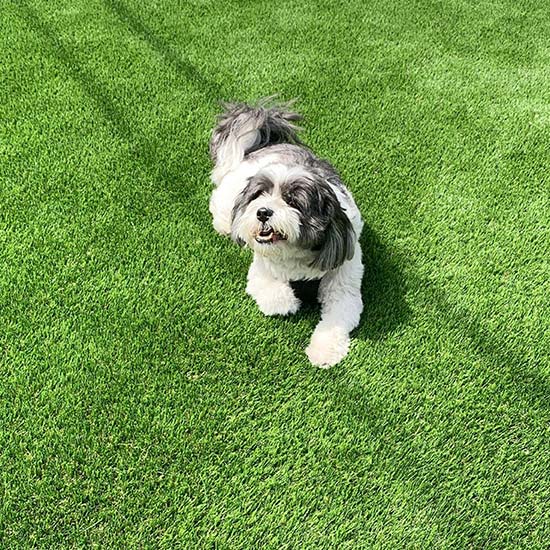 Artificial Grass Event Lawn Installation from Smart Turf