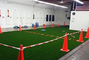 Indoor workout area with athletic turf