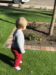 baby walking on artificial grass