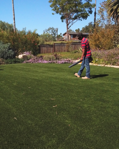 cleaning debris off artificial grass